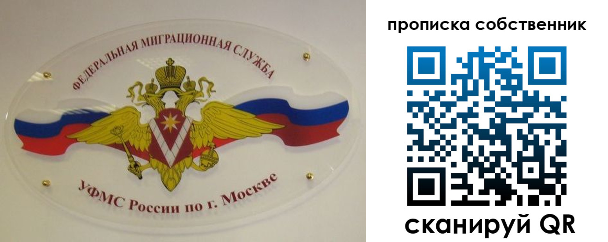 прописка 2025 в Одинцово